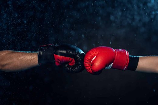 MMA&#x20;&#x3A;&#x20;L&amp;&#x23;8217&#x3B;Art&#x20;de&#x20;la&#x20;Combinaison&#x20;et&#x20;de&#x20;la&#x20;Discipline
